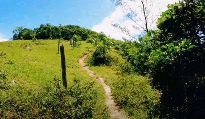 Garopaba sc caranha