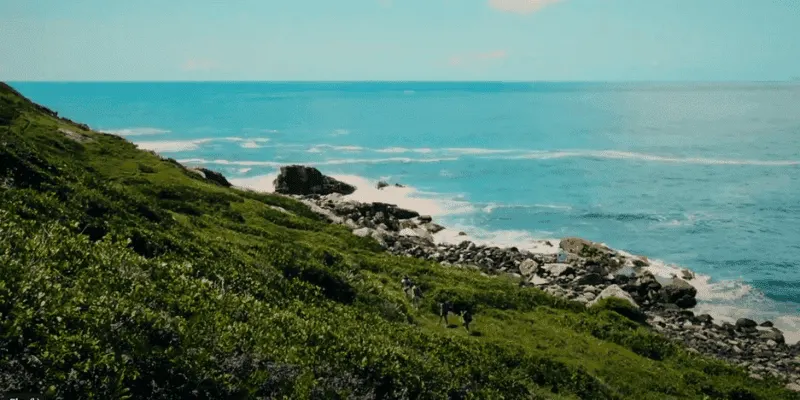 Praia da vigia santa catarina