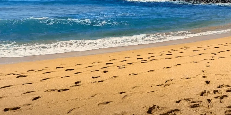 Praia silveira sc