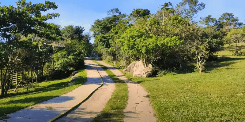 Praia vermelha sc