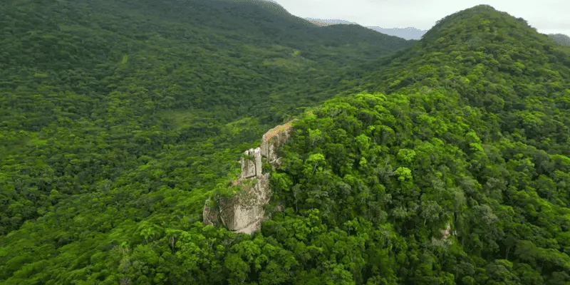Trilha da pedra branca garopaba